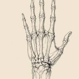 Anatomy Line Art Set of 12, Vintage Medical Body Drawings, Da Vinci Anatomy Sketch Prints, Dark Academia Wall Art, Digital Download image 3