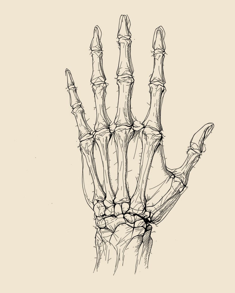 Anatomy Line Art Set of 12, Vintage Medical Body Drawings, Da Vinci Anatomy Sketch Prints, Dark Academia Wall Art, Digital Download image 3