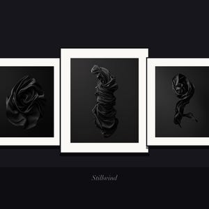 Zestaw 8 czarnych jedwabnych grafik ściennych Stillwind, rzeźbiarskie abstrakcyjne wydruki artystyczne, ciemna minimalistyczna monochromatyczna dekoracja, pobieranie cyfrowe zdjęcie 10