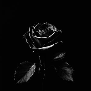 Chiaroscuro Still Life Wall Art Set of 12, Dark Moody Kitchen & Dining Prints, Old Master Black Fine Art, Digital Download image 6