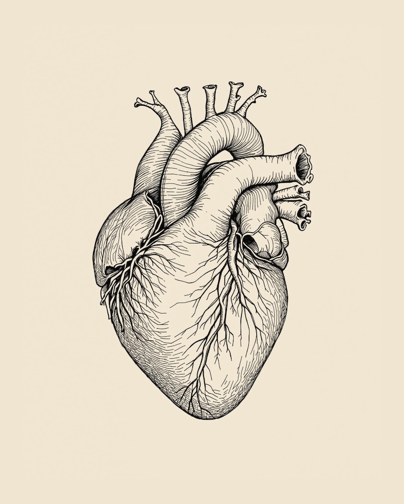 Anatomy Line Art Set of 12, Vintage Medical Body Drawings, Da Vinci Anatomy Sketch Prints, Dark Academia Wall Art, Digital Download image 5