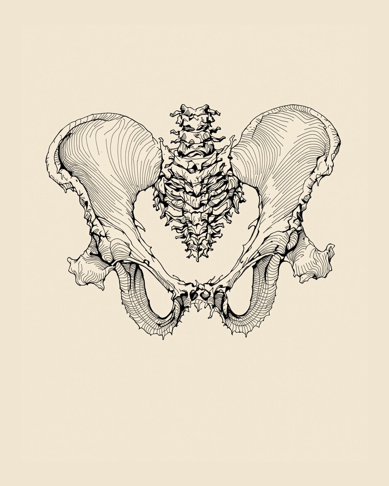 Anatomy Line Art Set of 12, Vintage Medical Body Drawings, Da Vinci Anatomy Sketch Prints, Dark Academia Wall Art, Digital Download image 8
