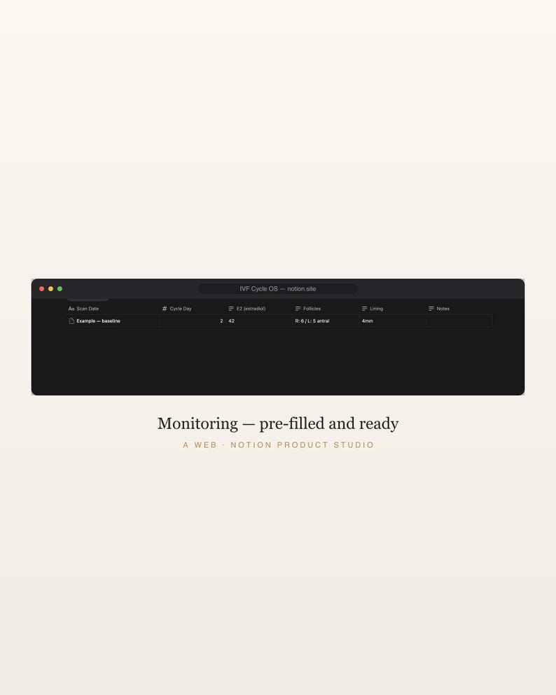 Sjabloon voor IVF-begrippen, tracker voor vruchtbaarheidsbehandelingen, planner medicatieprotocol en monitoring, kosten- en FSA-tracker, directe download afbeelding 5