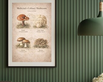 Medicinal & Culinary Mushrooms Printable | Vintage Fungi Chart | Mushroom Wall Art | Cottagecore Kitchen Decor | Instant Download