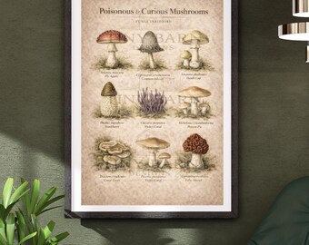 Poisonous & Curious Mushrooms Printable | Vintage Fungi Chart | Dark Academia Wall Art | Mushroom Poster Download