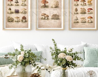 Vintage Mushroom Wall Art Set | 3 Printable Fungi Charts | Cottagecore Mushroom Decor | Naturalist Wall Art | Instant Download
