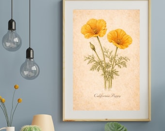 California Poppy Botanical Print | Vintage Wildflower Wall Art | Printable Cottagecore Decor