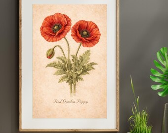 Red Garden Poppy Print | Vintage Botanical Wall Art | Printable Floral Decor