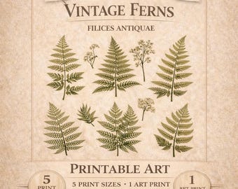 Vintage Fern Botanical Print | Cottagecore Wall Art (Digital Download)