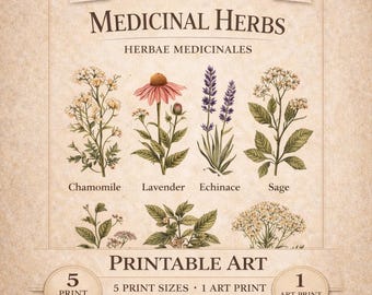 Vintage Botanical Wall Art Printable | Medicinal Herbs | Apothecary Plant Illustration | Cottagecore Digital Download