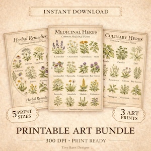 Medicinal Chart - Etsy