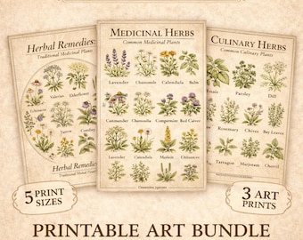 Herbal Garden Chart Collection Printable | Culinary & Medicinal Herbs | Vintage Botanical Wall Art | Farmhouse Kitchen Decor