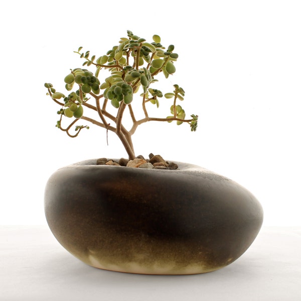 Schwarzer skulpturaler Pflanzer