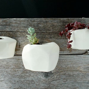 White Wall-hanging planter image 4