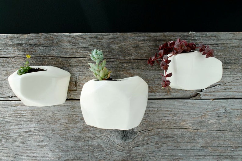 White Wall-hanging planter image 4