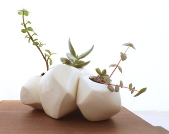 Succulent Rock Trio Planters in White