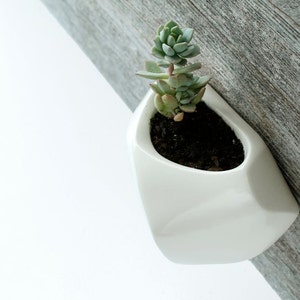 White Wall-hanging planter image 1