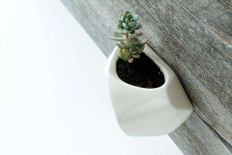 White Wall-hanging planter image 1