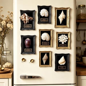 Cornice portaconchiglie vintage, calamita da frigo, scatola a sorpresa, calamita casuale a forma di conchiglia marina, decorazione gotica, scatola regalo a sorpresa