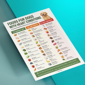 May include: A white informational chart titled Foods for Dogs with Heart Conditions featuring a golden retriever illustration. The document categorizes food items into three columns: Generally Safe, Limit Strictly, and Avoid Completely with icons.