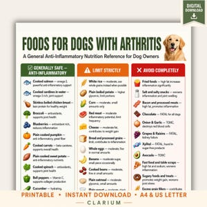 Foods for Dogs with Arthritis Printable | Anti-Inflammatory Dog Food Chart | Dog Joint Health Reference PDF | A4 & US Letter