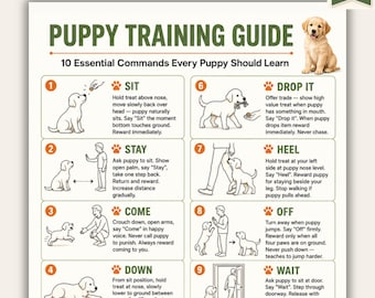 Guía de entrenamiento para cachorros imprimible / 10 comandos esenciales para cachorros en PDF / Tabla de entrenamiento canino / Comandos de entrenamiento para cachorros / Tamaños A4 y Carta estadounidense