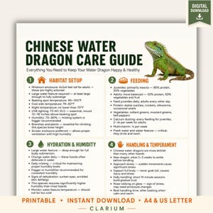 Op de afbeelding: Een digitale verzorgingsgids voor Chinese wateragamen met een illustratie van een groene hagedis en tekstsecties over leefomgeving, voeding, hydratatie, vochtigheid en hantering. De gids bevat specifieke instructies voor de verzorging.
