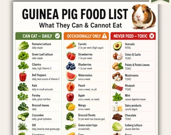 Lista de alimentos para cobayas imprimible / ¿Qué pueden comer las cobayas? / Guía de alimentos seguros y tóxicos en PDF / Tamaño A4 (carta estadounidense) / Descarga instantánea / Cobaya