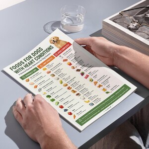 May include: A white informational chart titled Foods for Dogs with Heart Conditions featuring a golden retriever illustration and color-coded sections for generally safe, limit strictly, and avoid completely food items with small icons and text.