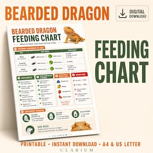 Bearded Dragon Feeding Chart Printable | Food Guide by Age | Reptile Feeding Schedule PDF | A4 & US Letter | Instant Download |Dragon Owner