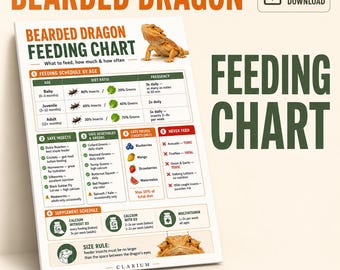 Tabla de alimentación para dragones barbudos imprimible / Guía de alimentación por edad / Horario de alimentación para reptiles en PDF / Tamaños A4 y Carta / Descarga instantánea / Dueño de dragón