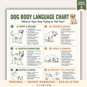 May include: A digital download chart titled Dog Body Language Chart: What Is Your Dog Trying to Tell You? The educational poster features six numbered sections with illustrations of dogs and text explaining behaviors like happy, stressed, and aggressive.