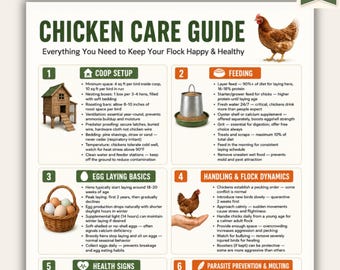 Guía imprimible para el cuidado de las gallinas / Hoja de cuidados para gallinas de traspatio en PDF / Montaje del gallinero, alimentación, puesta de huevos y salud / Formatos A4 y Carta de EE. UU. / Descarga instantánea