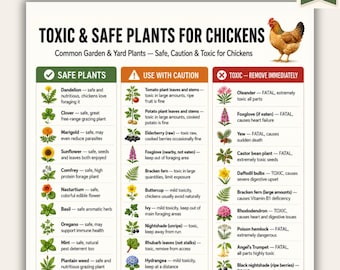 Plantas tóxicas para gallinas (imprimible) / Plantas seguras y tóxicas para gallineros (PDF) / Tabla de seguridad para el corral de gallinas / Tamaño A4 (carta estadounidense) / Descarga instantánea