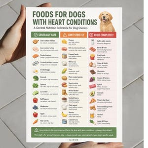 Foods for Dogs with Heart Conditions Printable | Low Sodium Dog Food Chart | Dog Heart Health Reference PDF | A4 & US Letter image 2