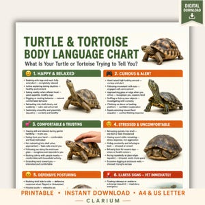 May include: A digital download chart titled Turtle & Tortoise Body Language Chart. It features six sections with text and images of turtles and tortoises, explaining behaviors like happy, curious, comfortable, stressed, defensive, and illness signs.