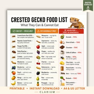 Puede incluir: Una guía de descarga digital titulada Crested Gecko Food List: What They Can & Cannot Eat. Incluye una foto de un gecko crestado y tres columnas codificadas por colores que detallan alimentos seguros, ocasionales y tóxicos con texto e iconos.