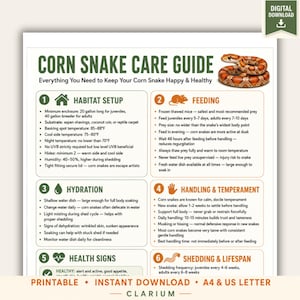 May include: A digital Corn Snake Care Guide infographic featuring an orange and brown snake illustration. The document outlines six sections: Habitat Setup, Feeding, Hydration, Handling & Temperament, Health Signs, and Shedding & Lifespan.
