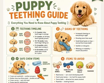 Guía imprimible para la dentición del cachorro / Cronograma y consejos para la dentición del cachorro en PDF / Guía para cachorros que mastican / Tamaño A4 (carta estadounidense) / Descarga instantánea