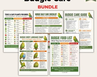 Paquete imprimible para el cuidado de periquitos / Kit completo para el cuidado de periquitos en PDF / Lista de alimentos / Guía de cuidados / Lista de verificación / Lenguaje corporal / Plantas / Tamaños A4 y Carta de EE. UU.