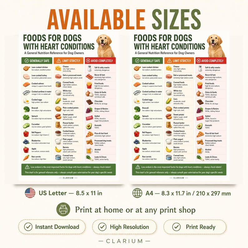 May include: A nutrition reference chart titled Foods for Dogs with Heart Conditions, featuring a golden retriever image and three color-coded columns: Generally Safe, Limit Strictly, and Avoid Completely. Includes US Letter 8.5 x 11 in size text.