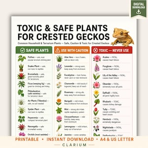 Può includere: Un grafico scaricabile digitalmente intitolato Toxic & Safe Plants for Crested Geckos, con un'illustrazione di un geco crestato. Elenca le piante in tre colonne codificate a colori: verde per sicuro, arancione per cautela e rosso per tossico.