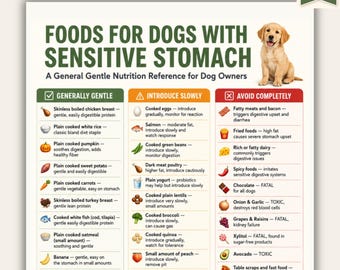 Alimentos para perros con estómago sensible (imprimible) / Tabla de alimentación blanda para perros / Guía de referencia sobre la salud digestiva canina (PDF) / Tamaños A4 y Carta estadounidense