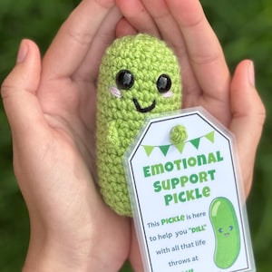 Könnte beinhalten: Ein hellgrünes, gehäkeltes Gewürzgurken-Stofftier mit schwarzen Kunststoffaugen und einem gestickten Lächeln. Daran befestigt ist ein weißes Etikett mit grünem Text: EMOTIONAL SUPPORT PICKLE. This PICKLE is here to help you DILL with all that life throws at YOU!