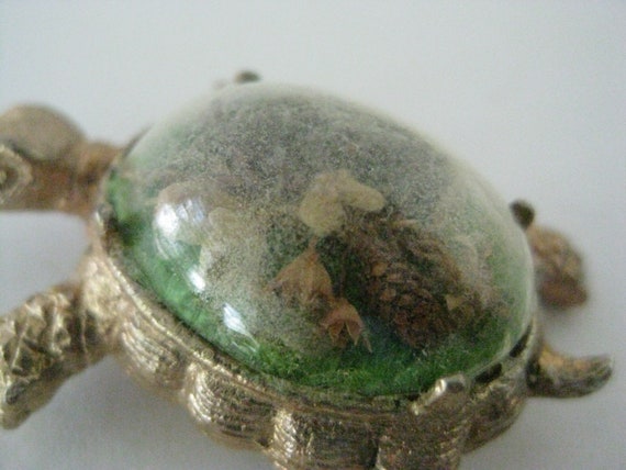 Turtle Dried Flowers Green Gold Brooch Dome Windo… - image 3