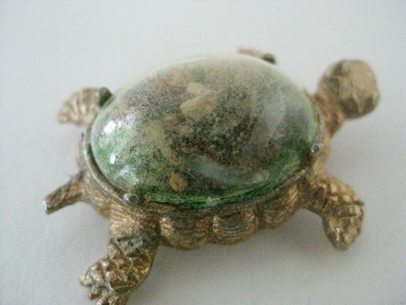 Turtle Dried Flowers Green Gold Brooch Dome Windo… - image 4