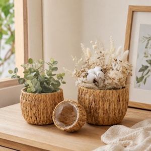 May include: Three round woven seagrass baskets with a natural tan finish. One basket contains a green eucalyptus plant, another holds a dried floral arrangement with cotton bolls, and the third smaller basket is empty with a clear plastic liner.
