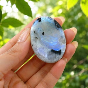 Può includere: Una pietra di luna di forma ovale con una superficie liscia e lucida. La pietra presenta un colore di base bianco traslucido con un vibrante effetto di adularescenza blu e diverse distinte inclusioni minerali nere sparse sulla superficie.