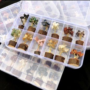 Op de afbeelding: Een verzameling miniatuur edelsteenboompjes met draadomwikkeling en natuurlijke houten voetjes, georganiseerd in doorzichtige, onderverdeelde plastic opbergdozen. Elke boom heeft verschillende gekleurde stenen als bladeren.
