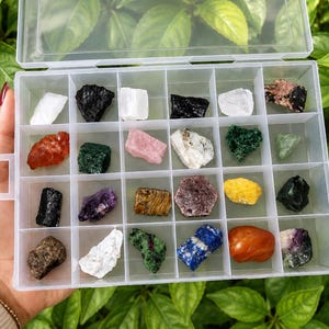 Puede incluir: Un contenedor de almacenamiento de plástico transparente con veinticuatro compartimentos individuales, cada uno con un mineral o piedra preciosa en bruto único. La colección incluye piedras de varios colores como blanco, negro, rojo, verde, rosa, morado, amarillo y azul.